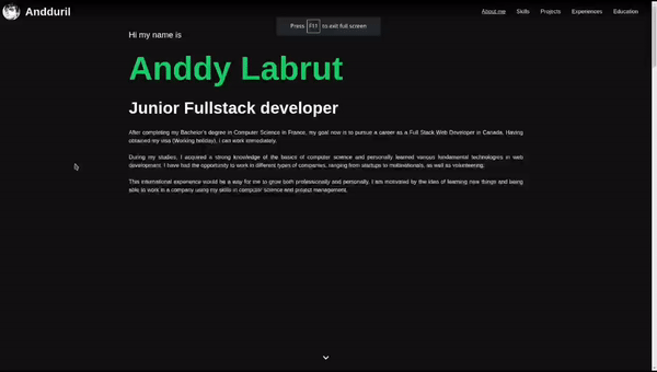 Portfolio gif